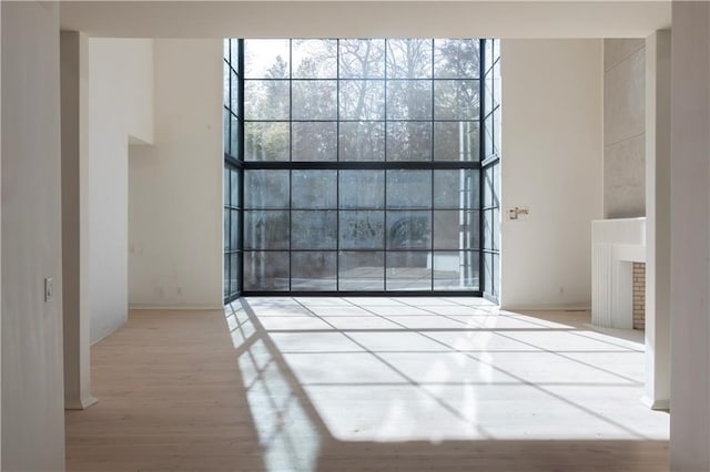 interior space featuring a healthy amount of sunlight, a wall of windows, and light hardwood / wood-style flooring