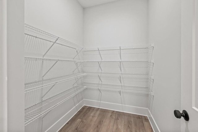 walk in closet with wood-type flooring