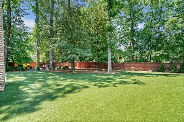 3146 Frontenac Ct NE, Atlanta, GA 30319 - view of yard