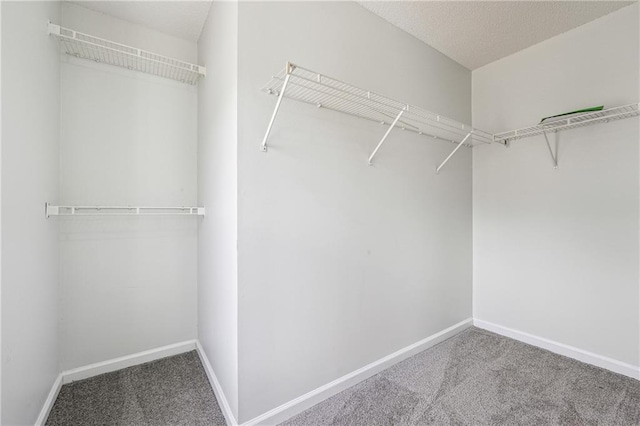2205 Dresden Grn NW, Kennesaw, GA 30144 - spacious closet with carpet floors