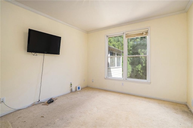 carpeted spare room with ornamental molding and a healthy amount of sunlight