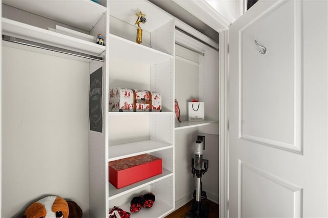 view of closet