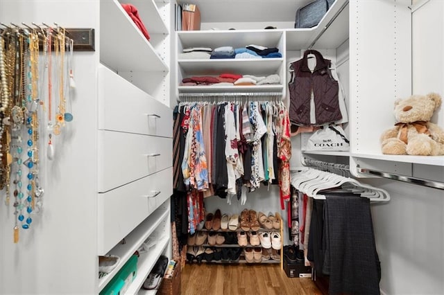 walk in closet with wood finished floors