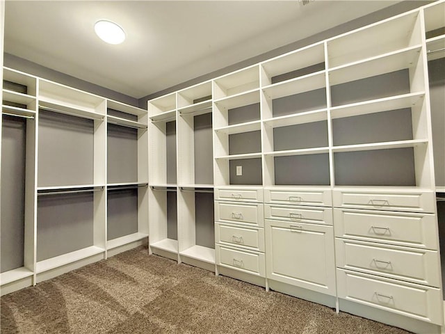 walk in closet with carpet floors