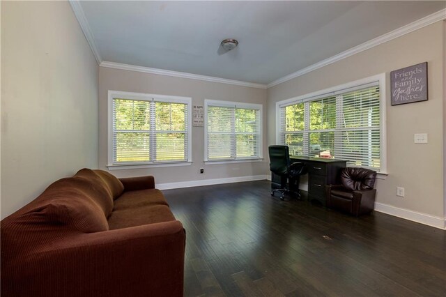 office with crown molding and dark hardwood / wood-style floors