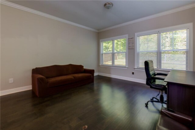 office area featuring a healthy amount of sunlight, crown molding, and dark hardwood / wood-style flooring