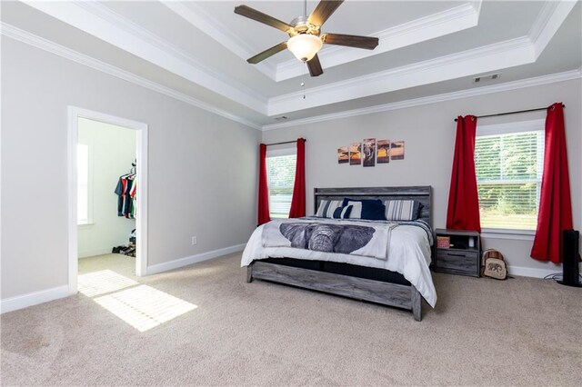 carpeted bedroom with ceiling fan, a raised ceiling, crown molding, and a spacious closet