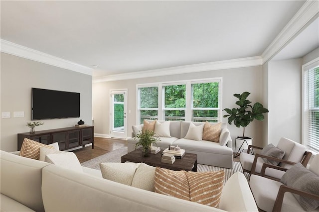 1036 Grant Park Rd, Decatur, GA 30033 - living room featuring crown molding, wood finished floors, and baseboards