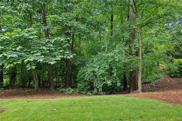 1036 Grant Park Rd, Decatur, GA 30033 - view of grassy yard with a forest view