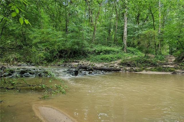 1036 Grant Park Rd, Decatur, GA 30033 - water view