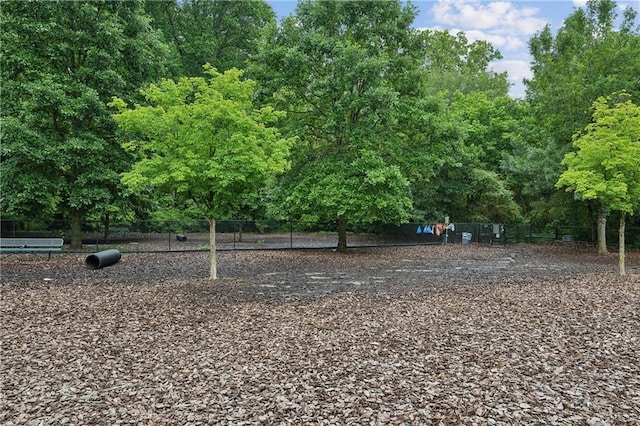 1036 Grant Park Rd, Decatur, GA 30033 - view of yard