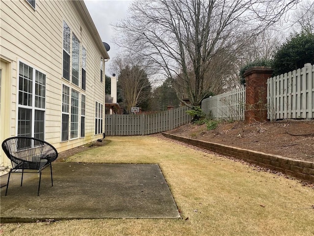 view of yard featuring a patio area