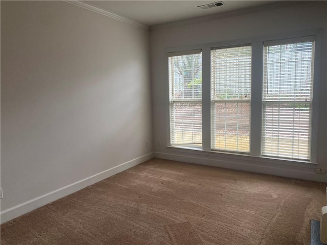 empty room featuring carpet and ornamental molding