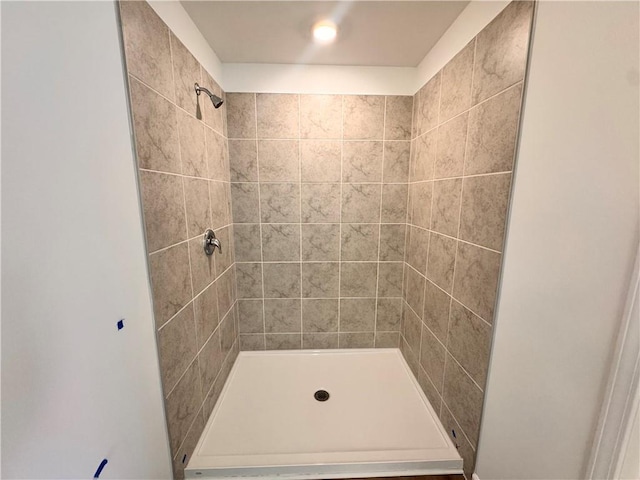 bathroom featuring a shower stall