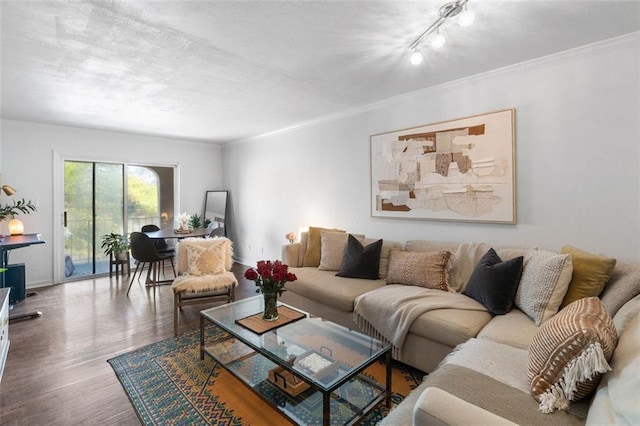 living room with crown molding and hardwood / wood-style floors