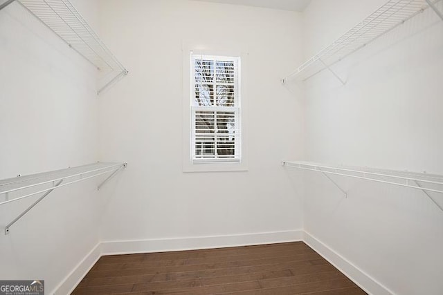 spacious closet with dark wood finished floors