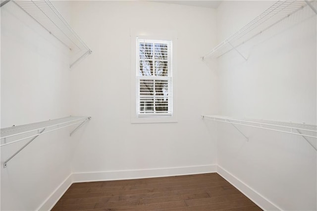 walk in closet with dark wood finished floors