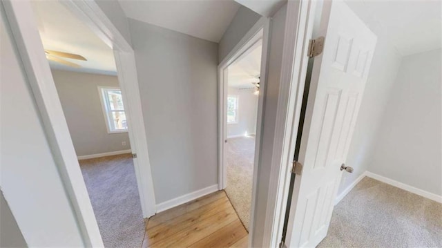 86 Martin Luther King Jr Dr, Jefferson, GA 30549 - hall featuring light colored carpet, healthy amount of natural light, and baseboards