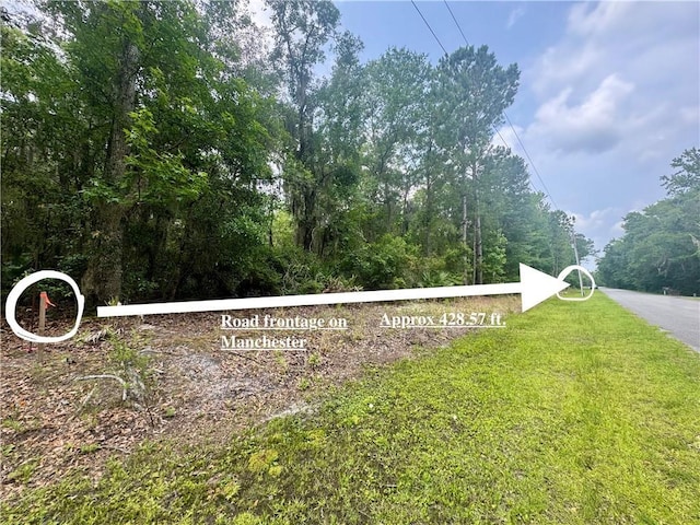 0 Manchester Rd SE, Townsend, GA 31331