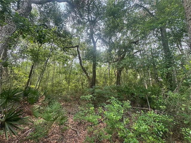 0 Manchester Rd SE, Townsend, GA 31331