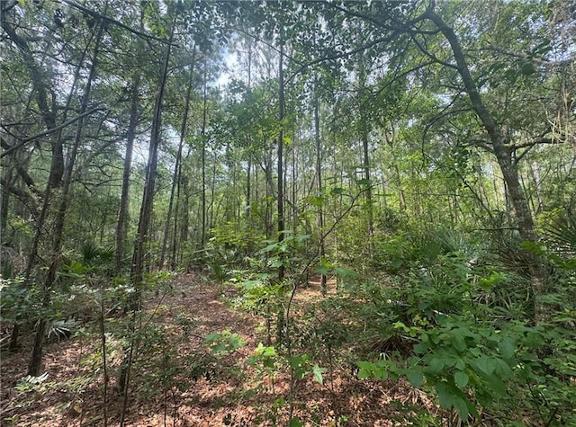 0 Manchester Rd SE, Townsend, GA 31331