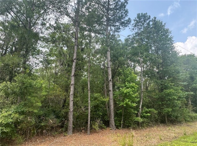 0 Manchester Rd SE, Townsend, GA 31331
