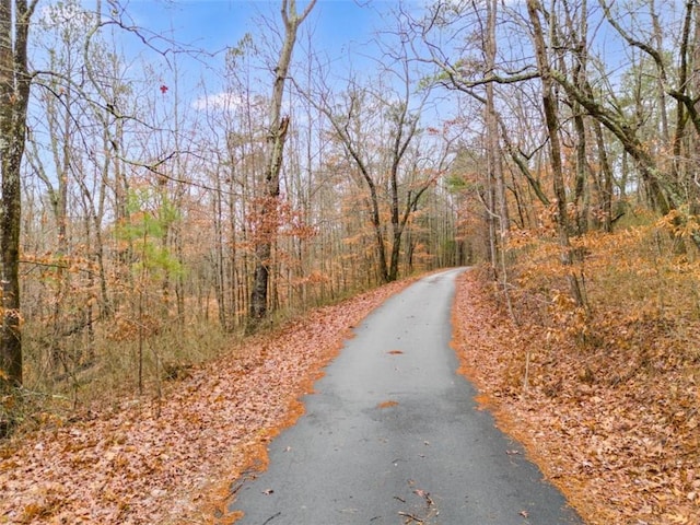 view of street featuring a wooded view