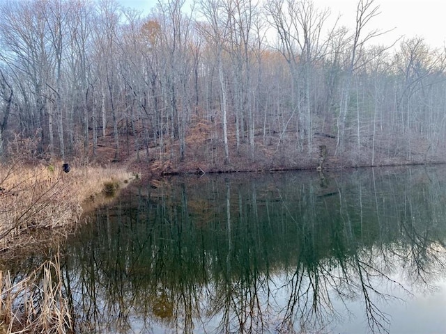 property view of water featuring a view of trees