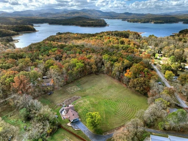 drone / aerial view with a water and mountain view