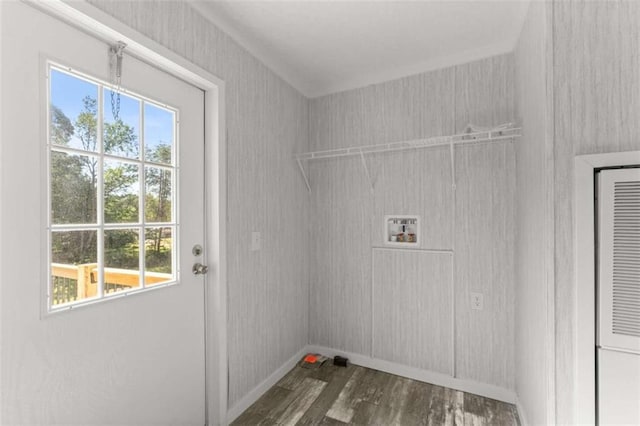 laundry room featuring washer hookup, dark hardwood / wood-style floors, and a healthy amount of sunlight