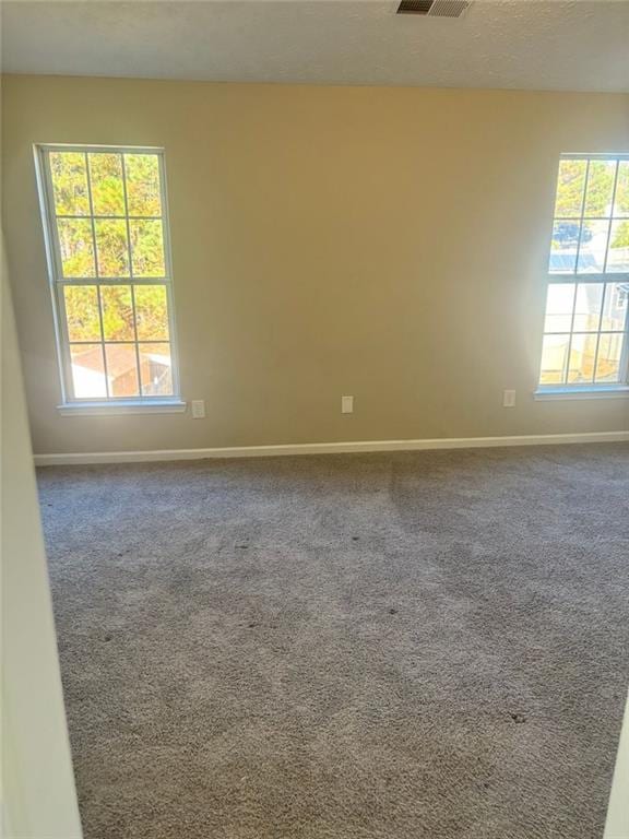 carpeted empty room featuring a healthy amount of sunlight and a textured ceiling