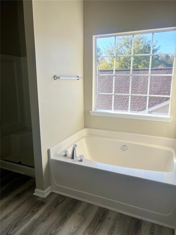 bathroom with wood-type flooring and plus walk in shower