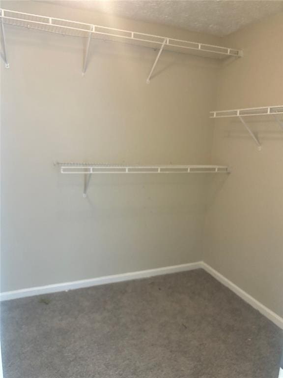 walk in closet featuring carpet flooring