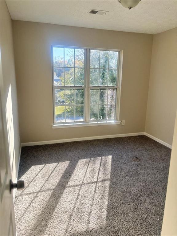 unfurnished room featuring a healthy amount of sunlight, a textured ceiling, and carpet flooring