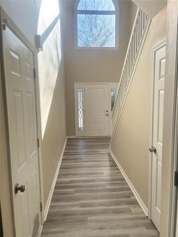 entryway with dark hardwood / wood-style flooring and a high ceiling