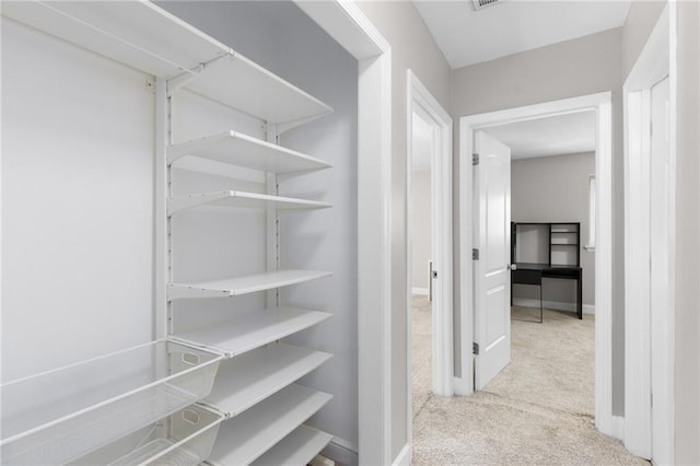765 Houston Mill Rd NE Unit 7, Atlanta, GA 30329 - walk in closet featuring carpet floors