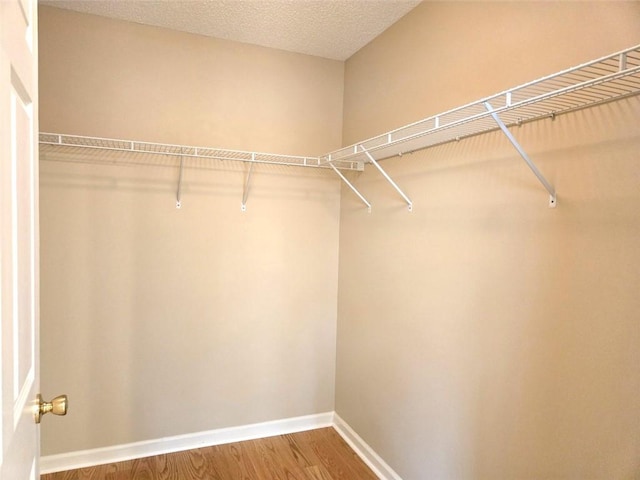 spacious closet featuring wood finished floors