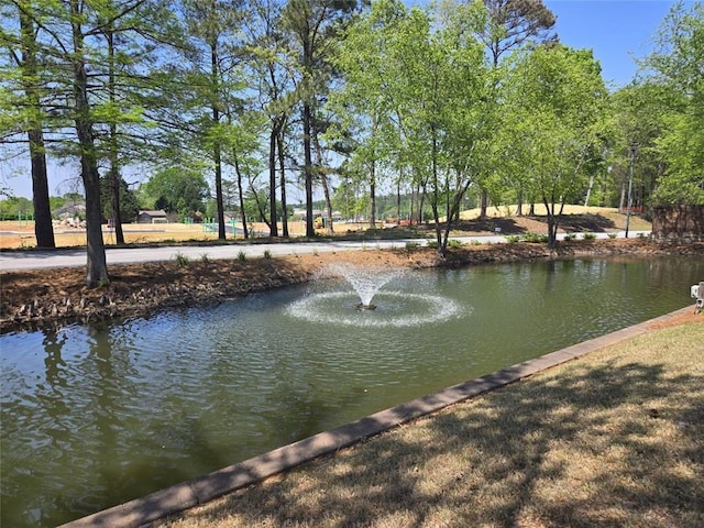 water view