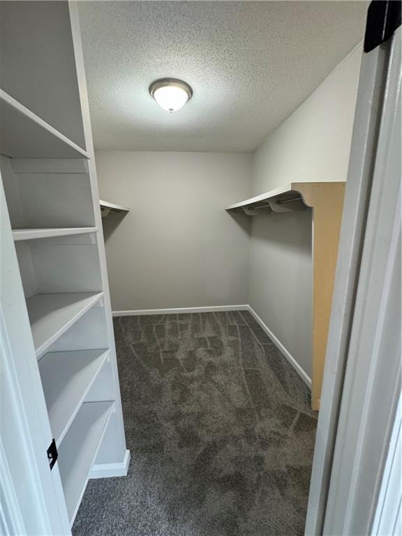 spacious closet with dark carpet