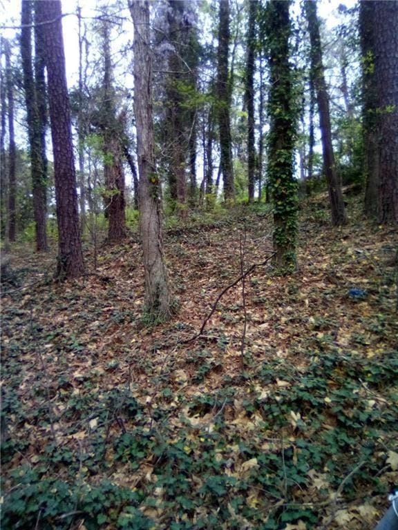 000 Landrum Dr SW, Atlanta GA, 30311 land for sale