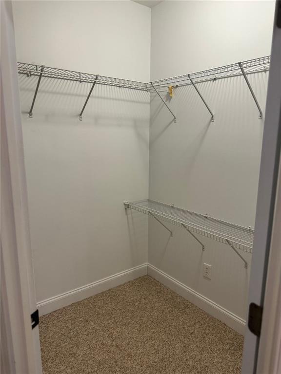 walk in closet with carpet flooring