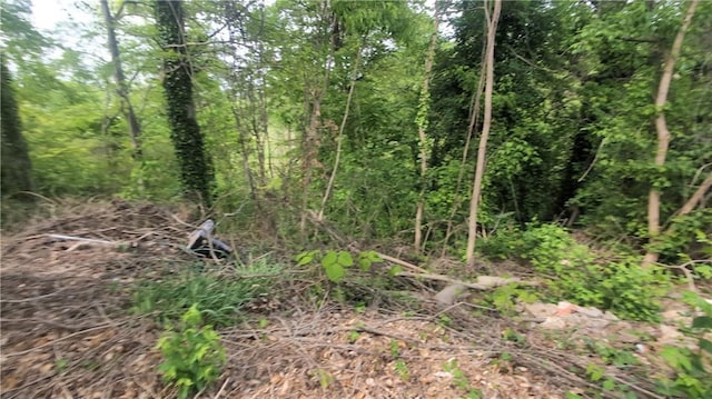 1285 N Ave NW, Atlanta, GA 30318 - view of woods