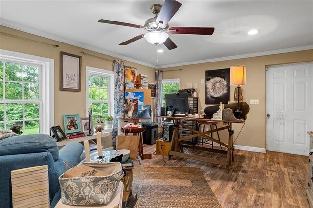 8669 Davis St, Braselton, GA 30517 - office with ceiling fan, healthy amount of natural light, wood finished floors, baseboards, and ornamental molding
