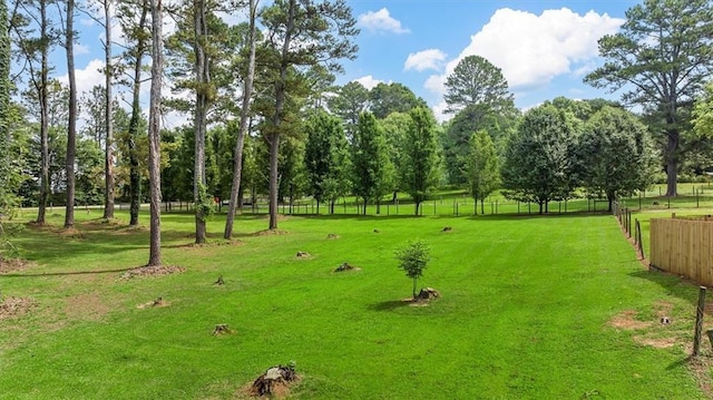 8669 Davis St, Braselton, GA 30517 - view of property's community