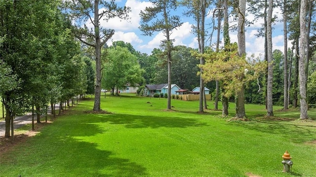 8669 Davis St, Braselton, GA 30517 - surrounding community featuring a yard and view of scattered trees
