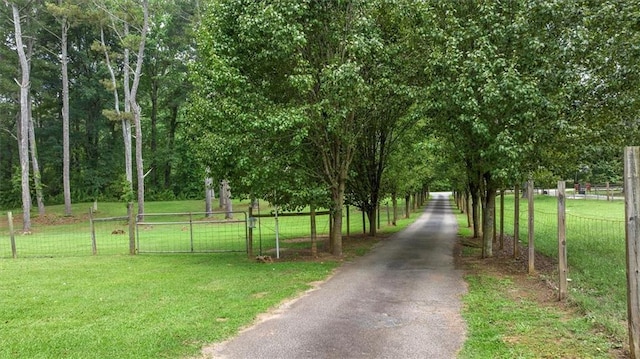8669 Davis St, Braselton, GA 30517 - view of road with a gate
