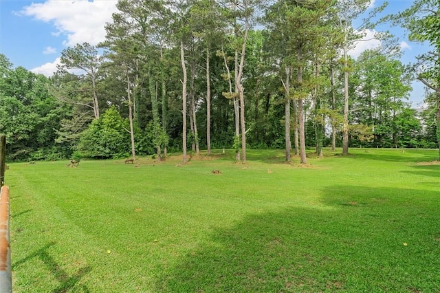 8669 Davis St, Braselton, GA 30517 - view of green lawn