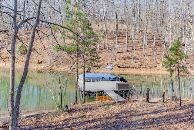 property view of water featuring a boat dock