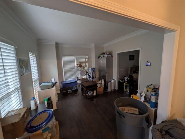 405 Baneberry Bnd, Peachtree City, GA 30269 - interior space with dark hardwood / wood-style flooring and crown molding
