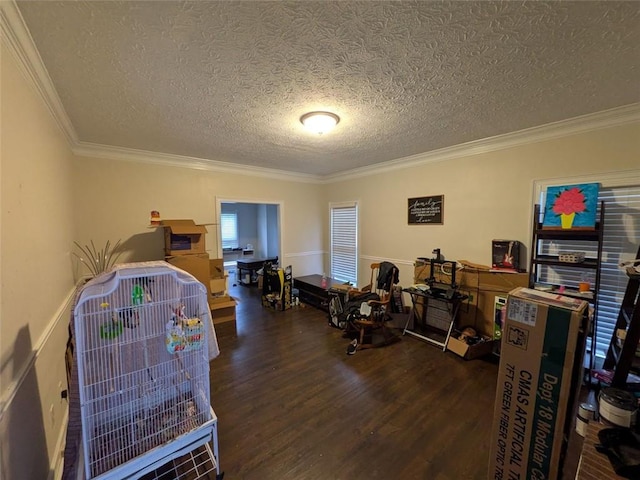 405 Baneberry Bnd, Peachtree City, GA 30269 - recreation room with crown molding, dark hardwood / wood-style floors, and a textured ceiling